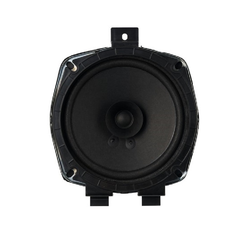 Altavoces de coche para HYUNDAI Altavoz de coche especializado XY-X100/XY-XD01/XY-CK7911 100R20